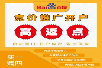百度竞价策略成功案例：如何做到日赚千元